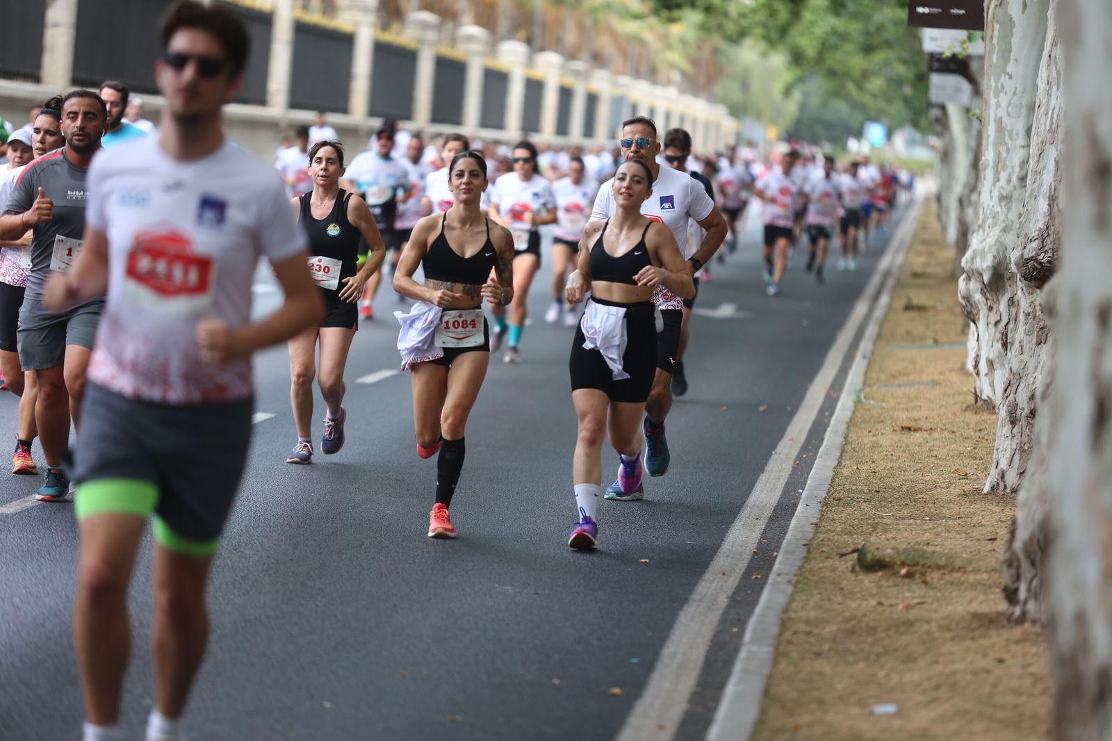 Las mejores fotos de la Carrera Ponle Freno en Málaga