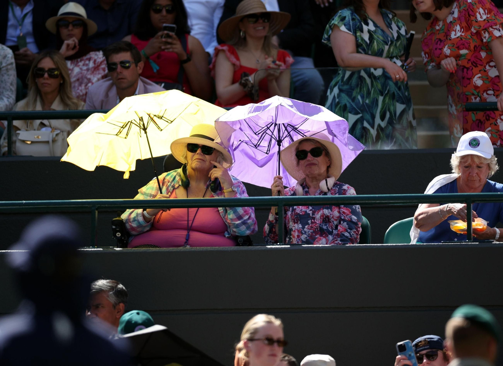 Las fotos de la clasificación de Alcaraz para semifinales de Wimbledon y del resto de la jornada Las fotos de la clasificación de Alcaraz para semifinales de Wimbledon y del resto de la jornada