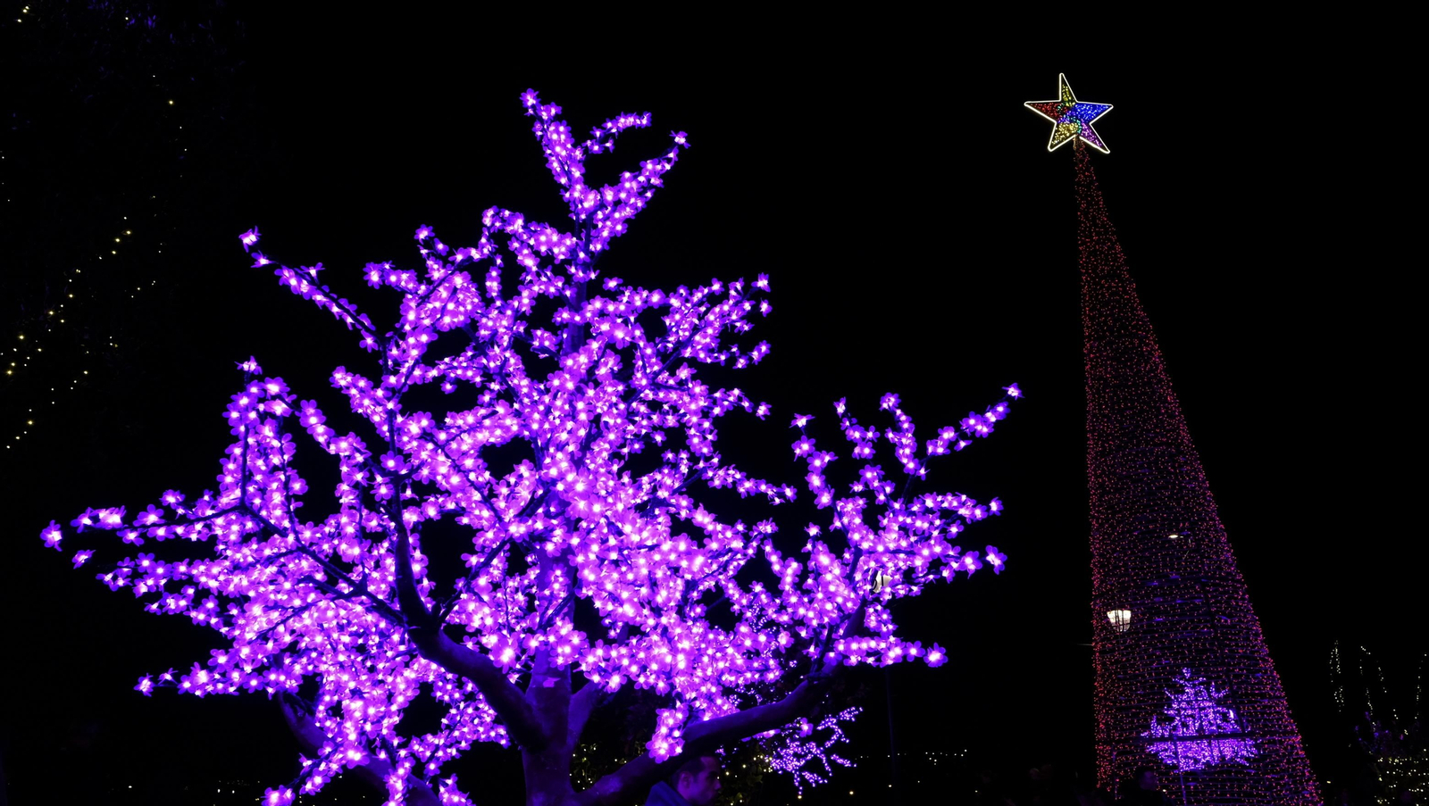 Imágenes del encendido de navidad en el Hospital Torrecárdenas, Almería