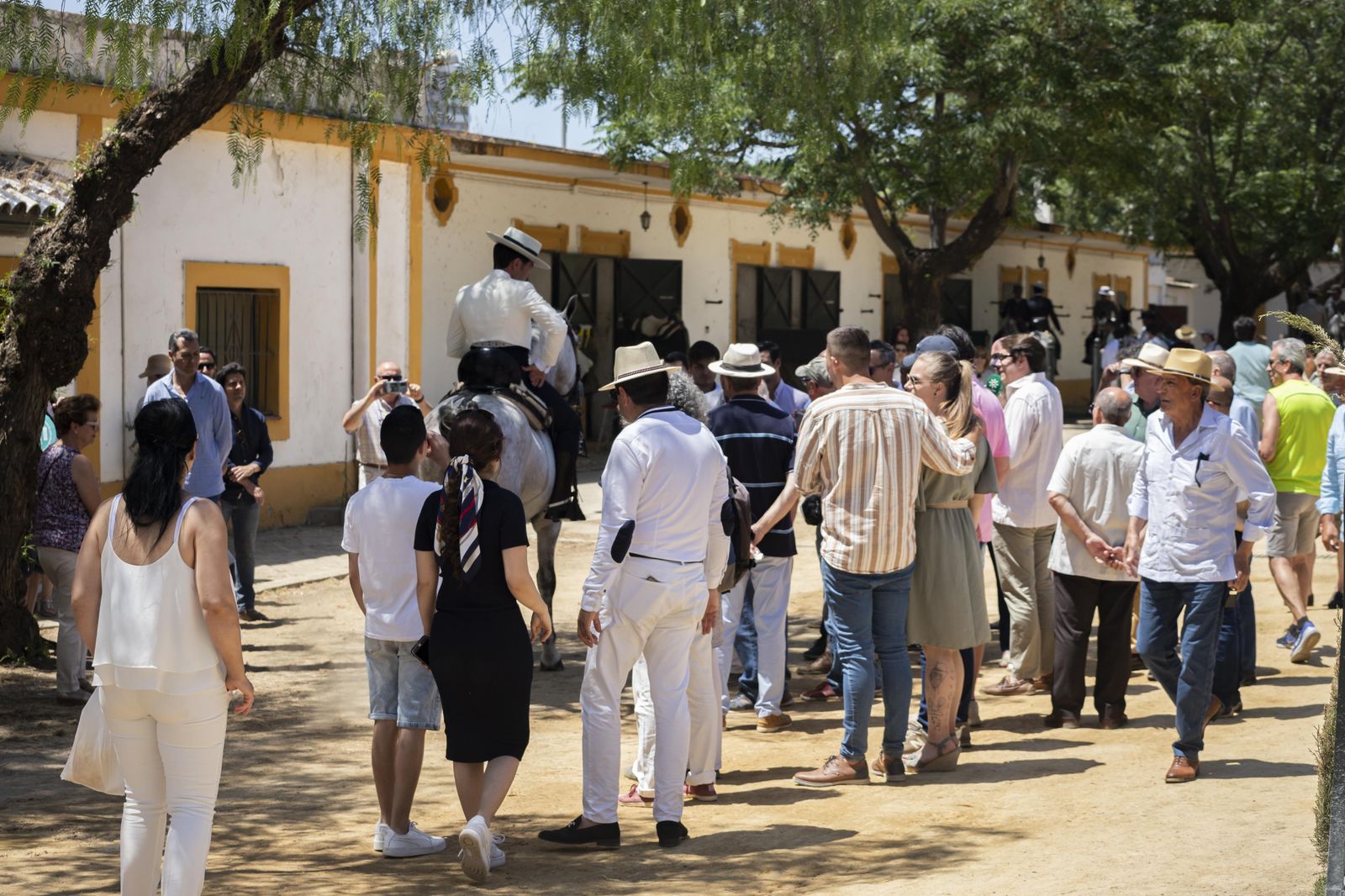 Final del concurso de Doma Vaquera 2023 en el Depósito de Sementales