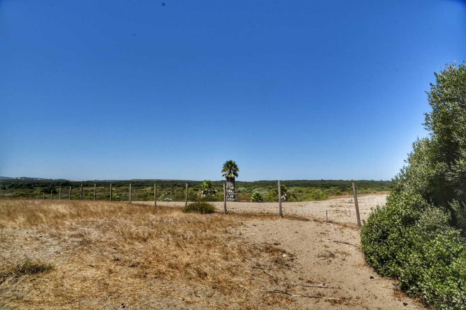 Terrenos de Guadalquitón, San Roque.
