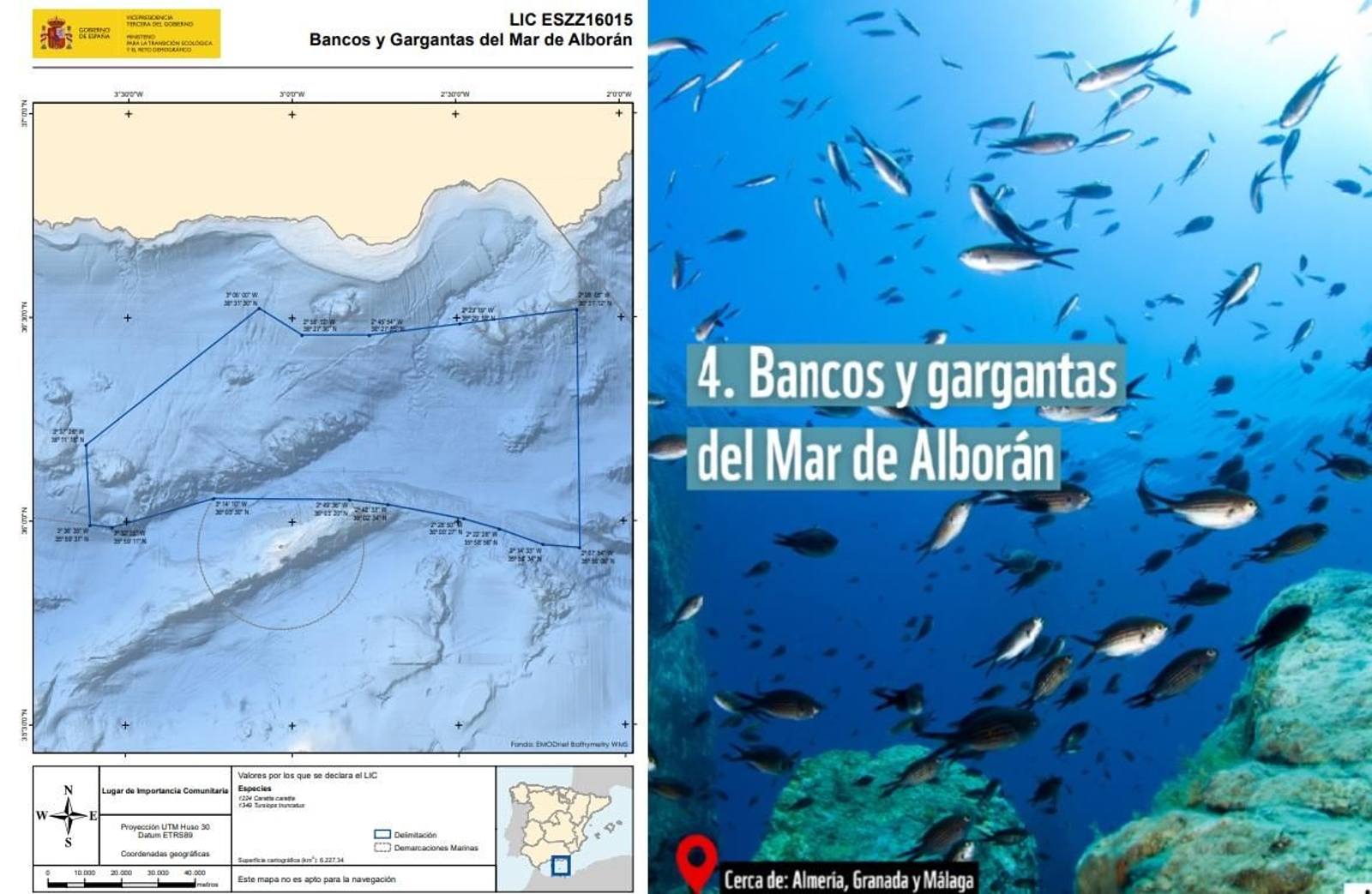 Bancos y Gargantas del Mar de Alborán