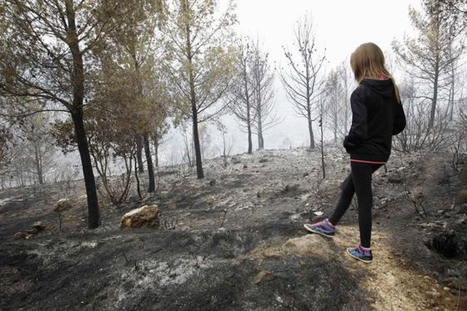 El fuego arrasa miles de hectáreas en comarcas del interior de la provincia de Valencia.

Foto: Reuters