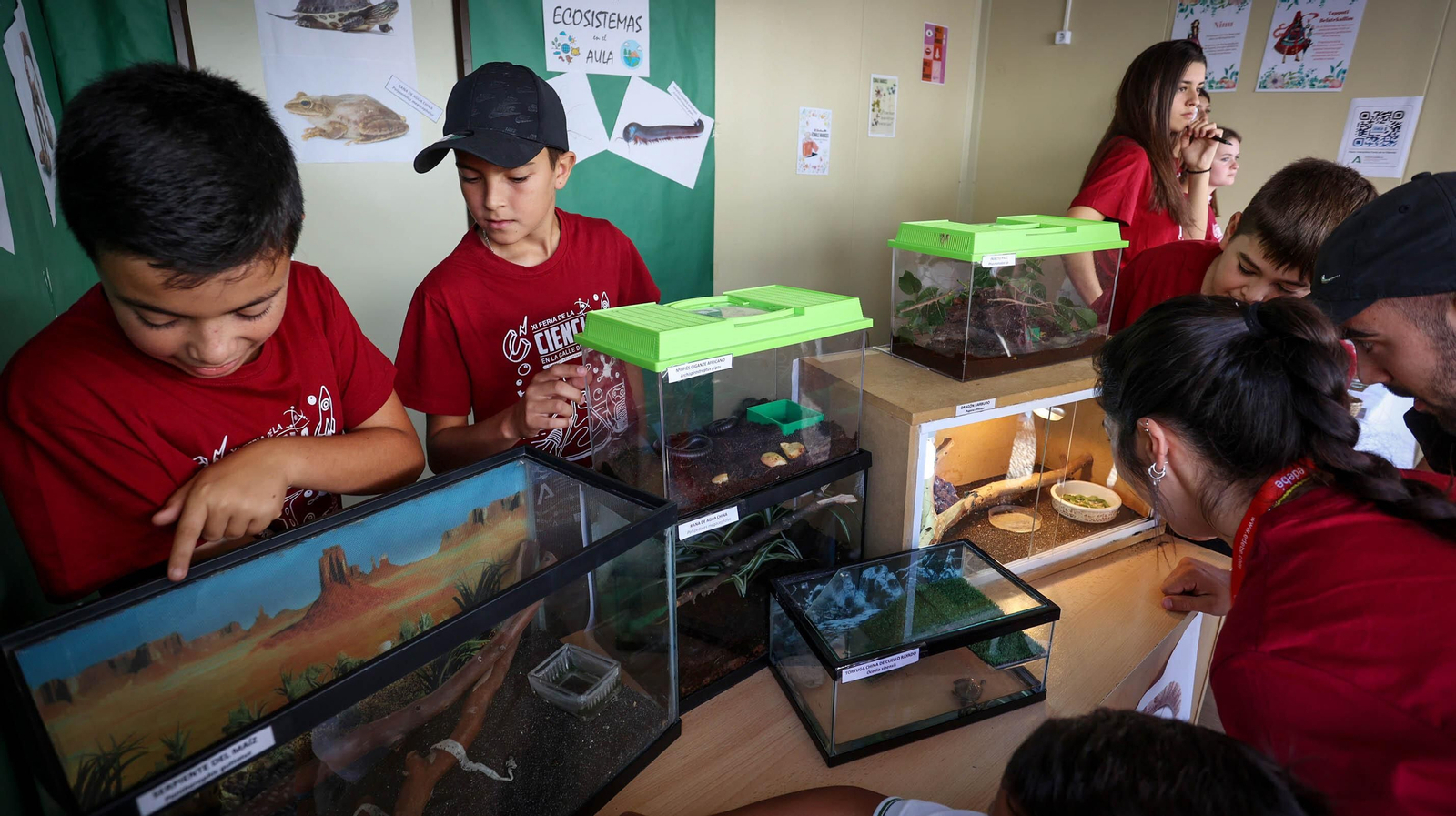 XI Feria de la Ciencia Jerez 2023