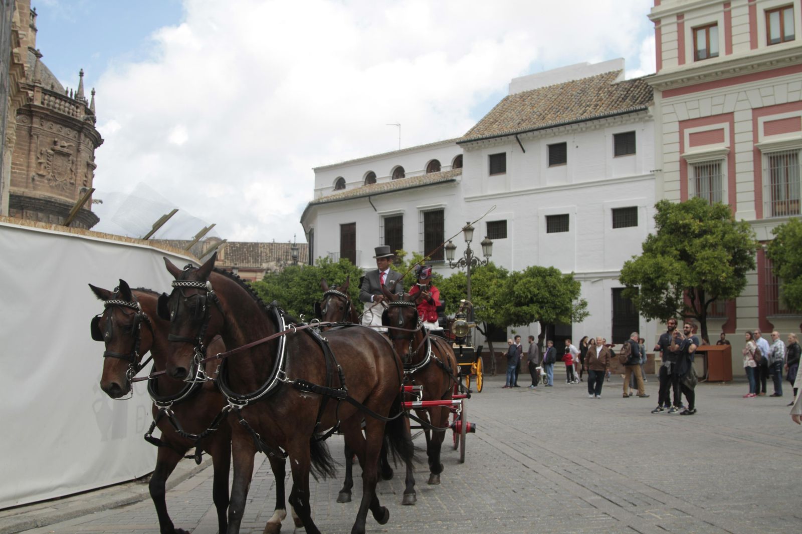 Los mejor del Concurso Internacional de enganches de Sevilla