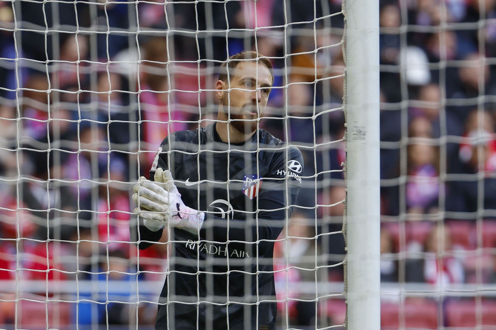 Las fotos del Atlético de Madrid - Betis