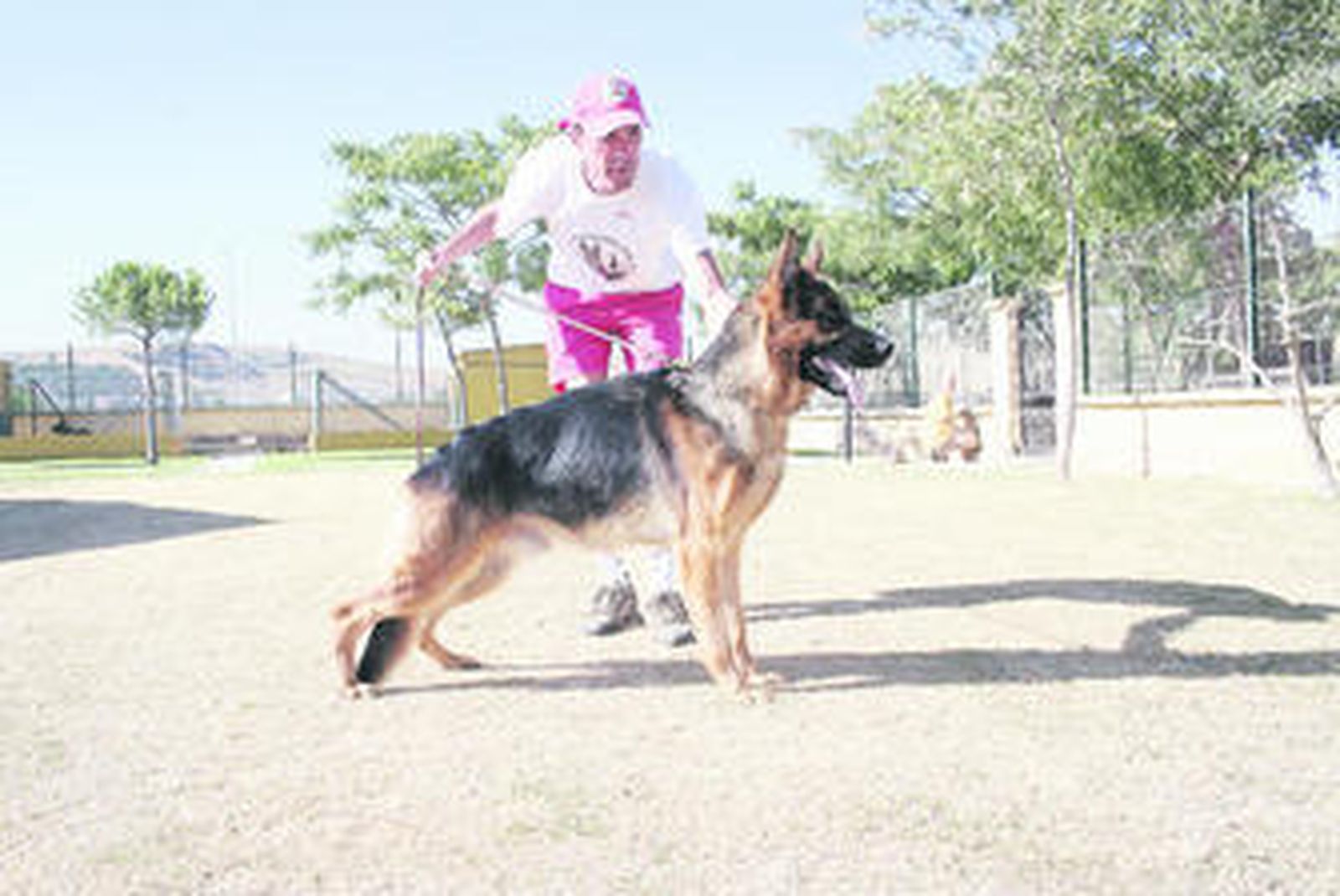 El director del Centro Canino Campo de Gibraltar, con un ejemplar de pastor alemán