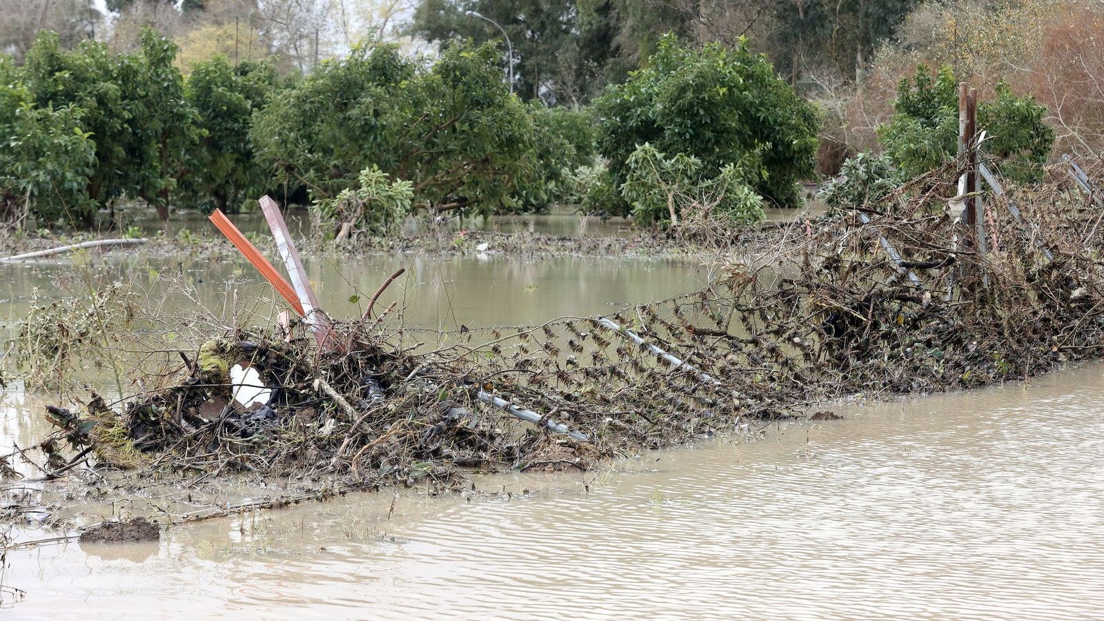 Ruta por la zona rural inundada de Jerez