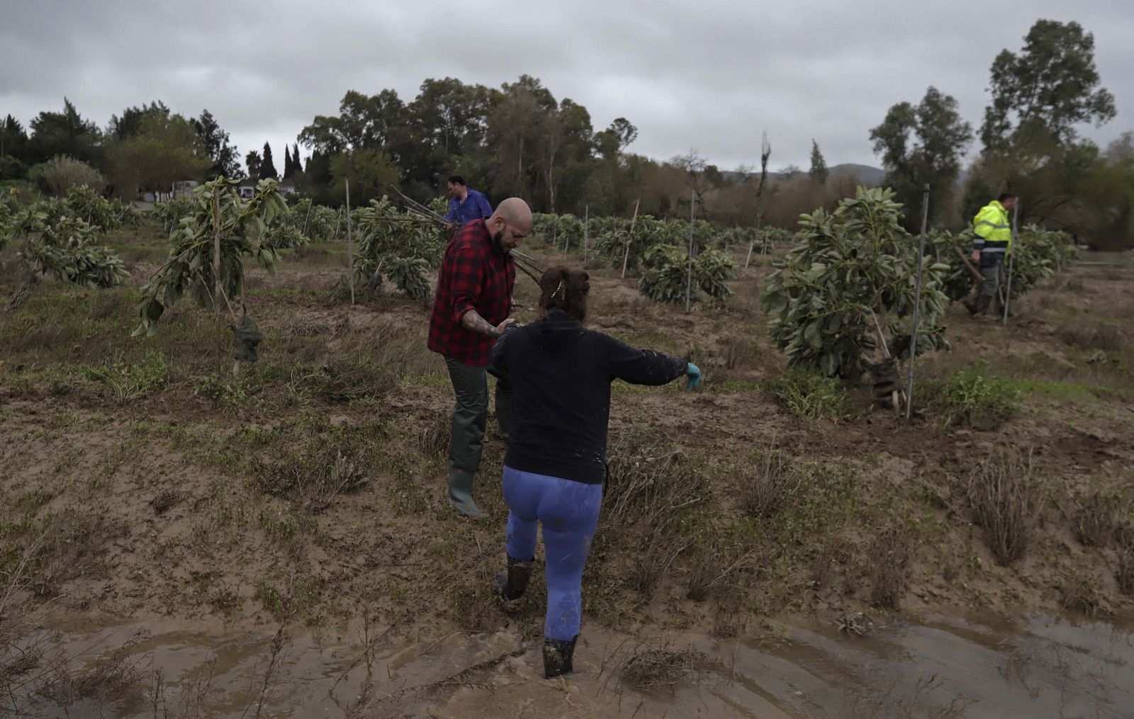 Fotos de los desperfectos provocados por las borrascas en Jimena de la Frontera