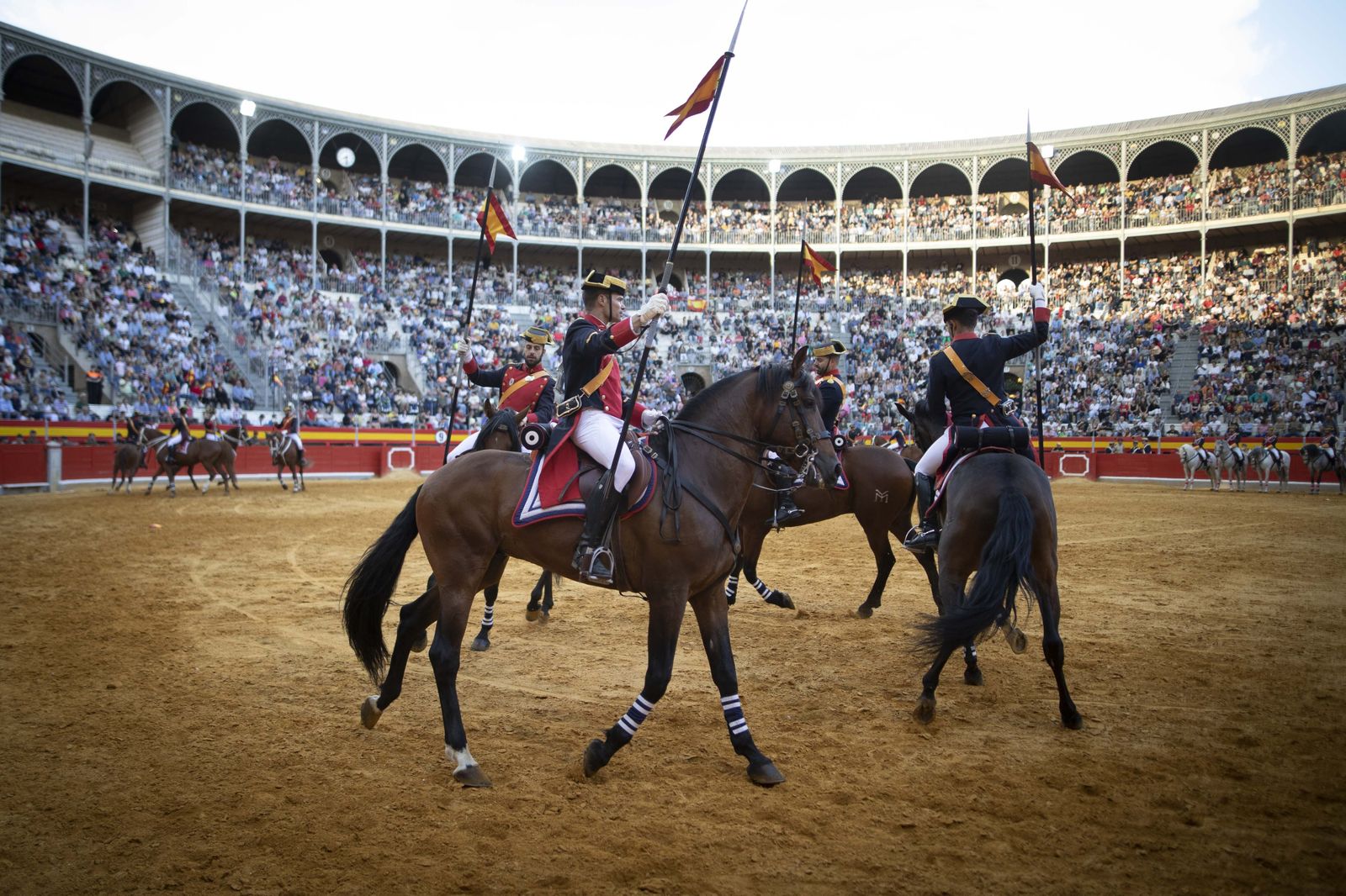 La exhibición del Ejército en la Plaza de Toros de Granada, en imágenes