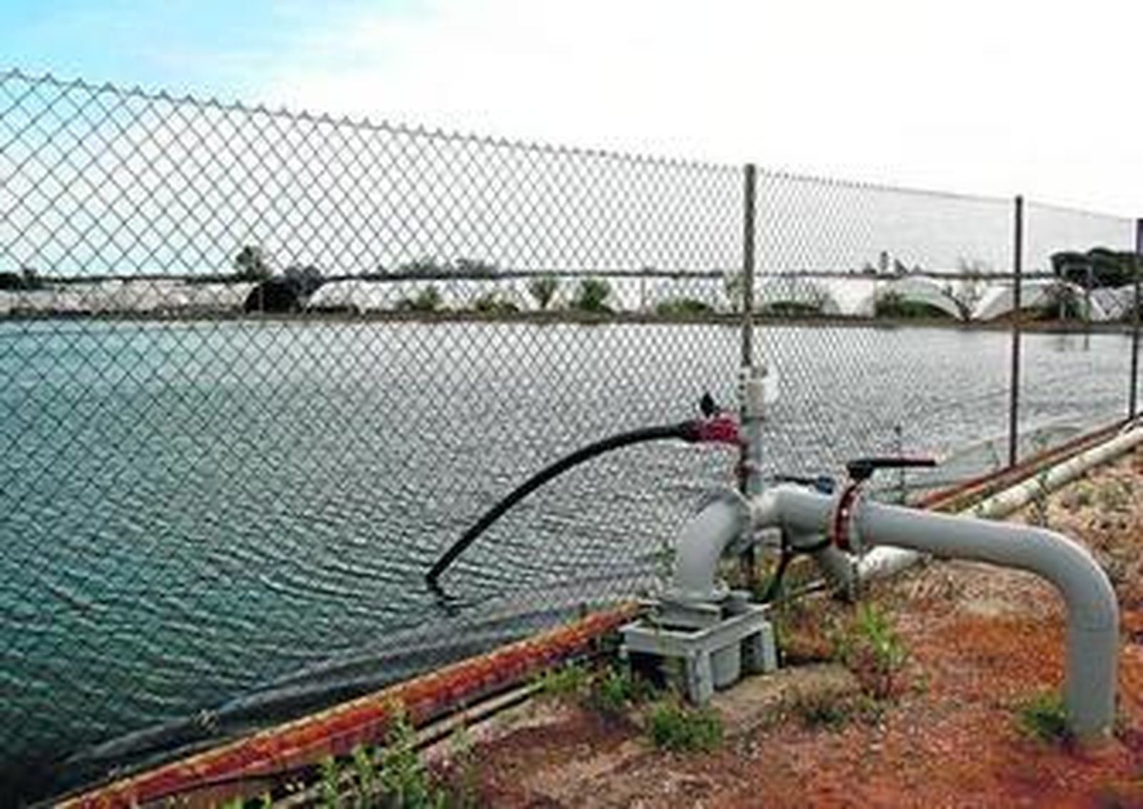 1. Una de las balsas de almacenamiento de agua que debe situarse en la parte más baja de la finca para poder recoger el agua. 2. El cultivo de fresa y berries ocupa la mayor parte del regadío de la zona del Condado. 3. Las canalizaciones que recogen el agua de lluvia. 4. El sistema hidropónico también ahorra agua.