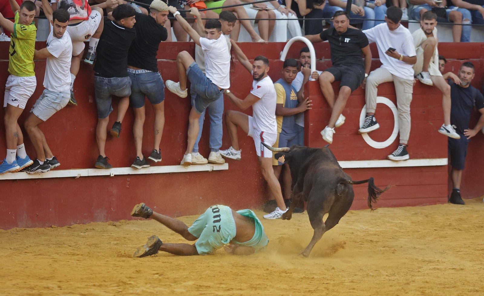 Las mejores fotos del Toro del Aguardiente en San Roque