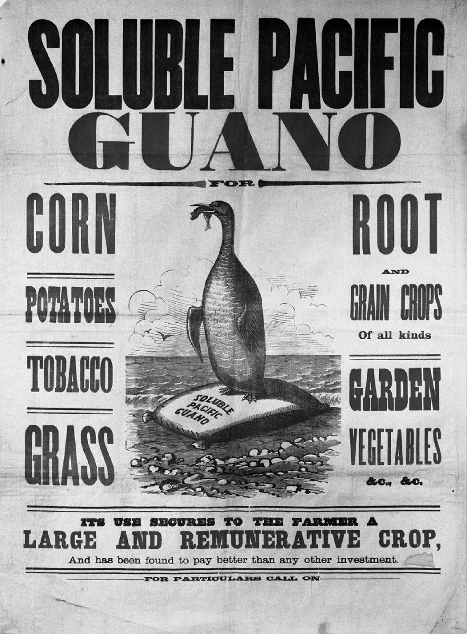 Cartel comercializando guano.