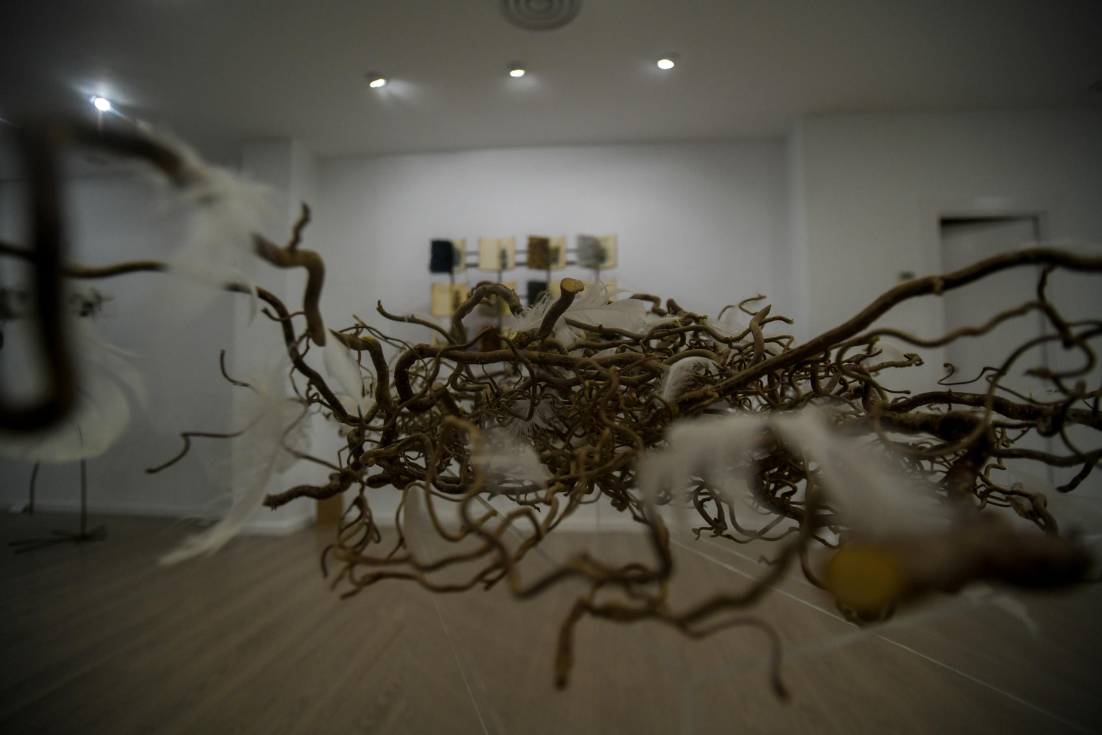 El eterno retorno de Aixa