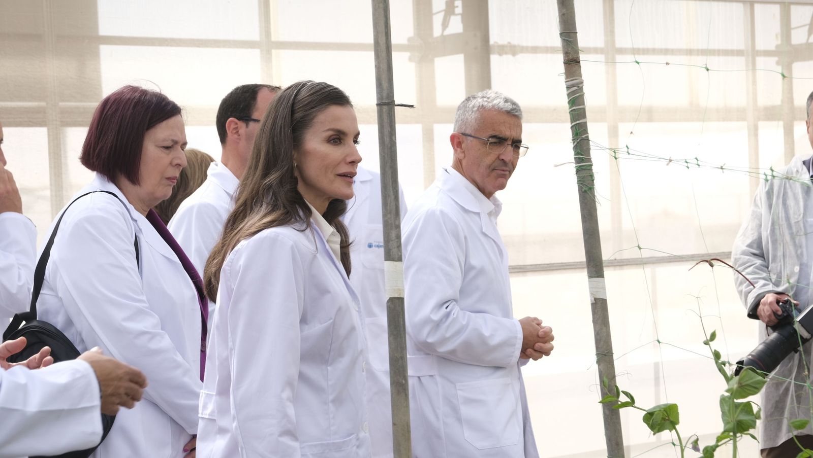 La visita de la reina Letizia a El Ejido, en imágenes
