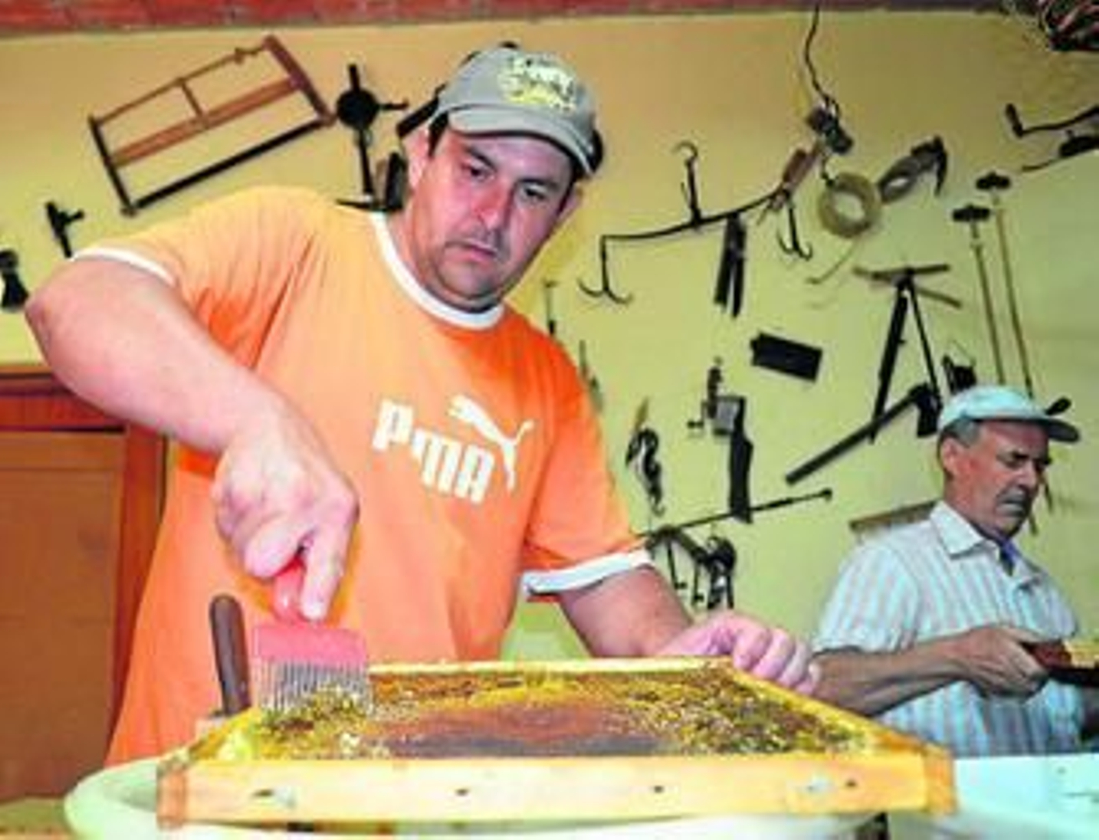 Germán Bernal saca la miel de un panal.