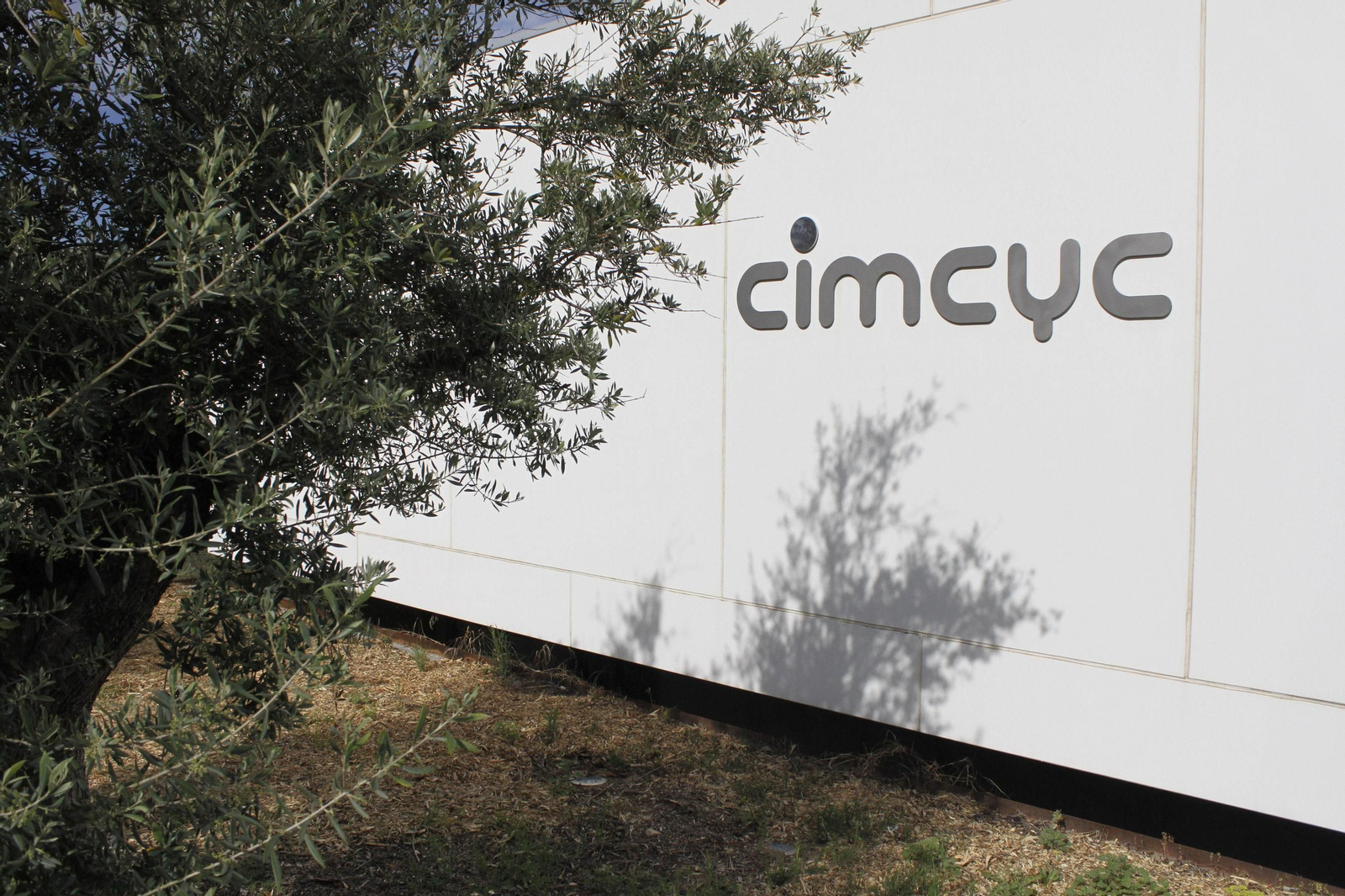 El grupo investiga en el Mente, Cerebro y Comportamiento.