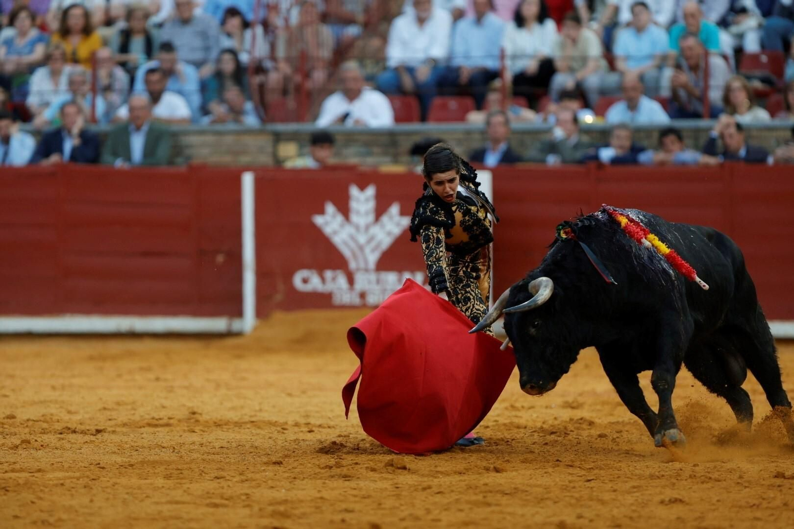 Las imágenes de la corrida de Ventura, Morante y Román en la Feria Taurina de Córdoba