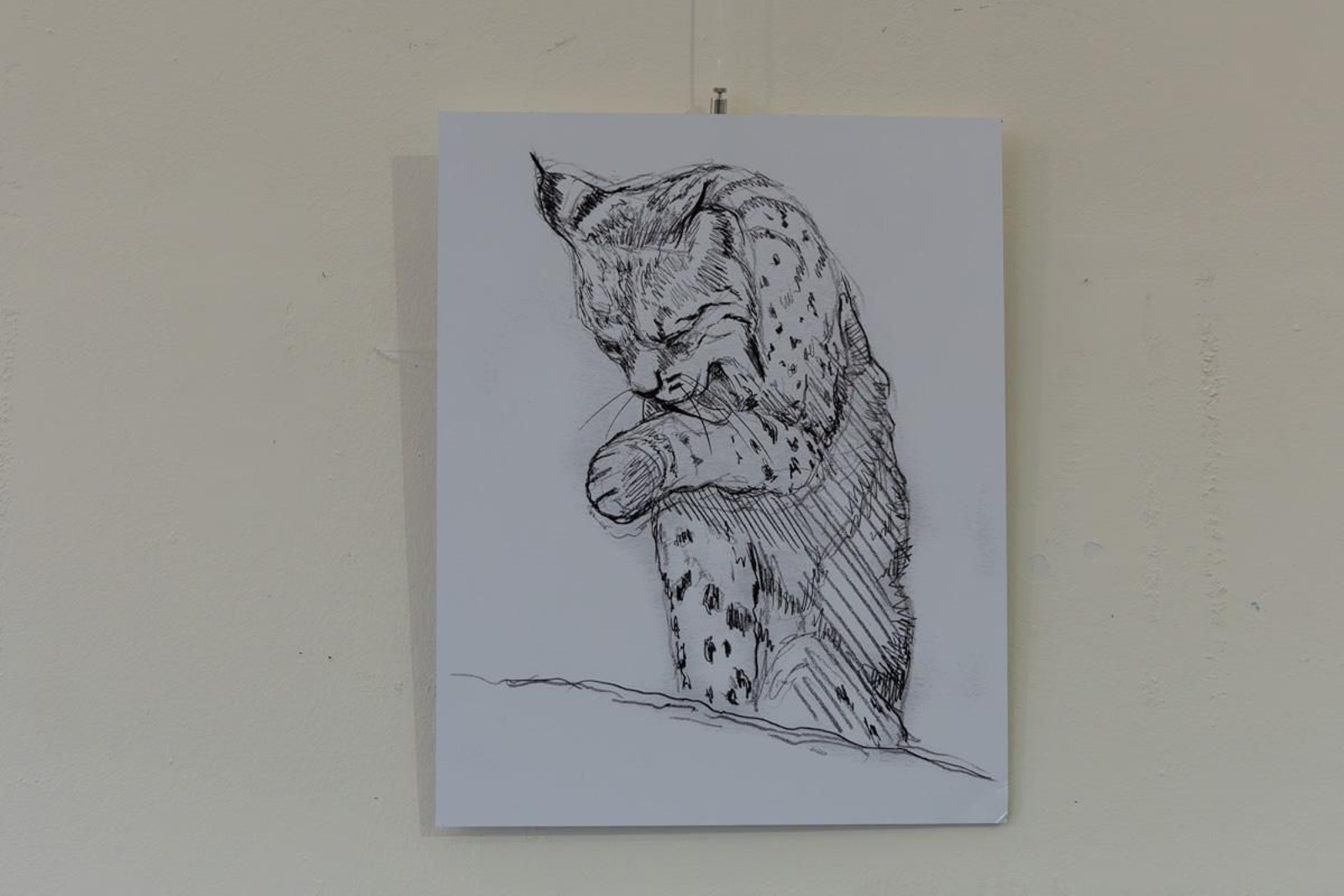 Exposición Los pinceles del lince ibérico, en imágenes