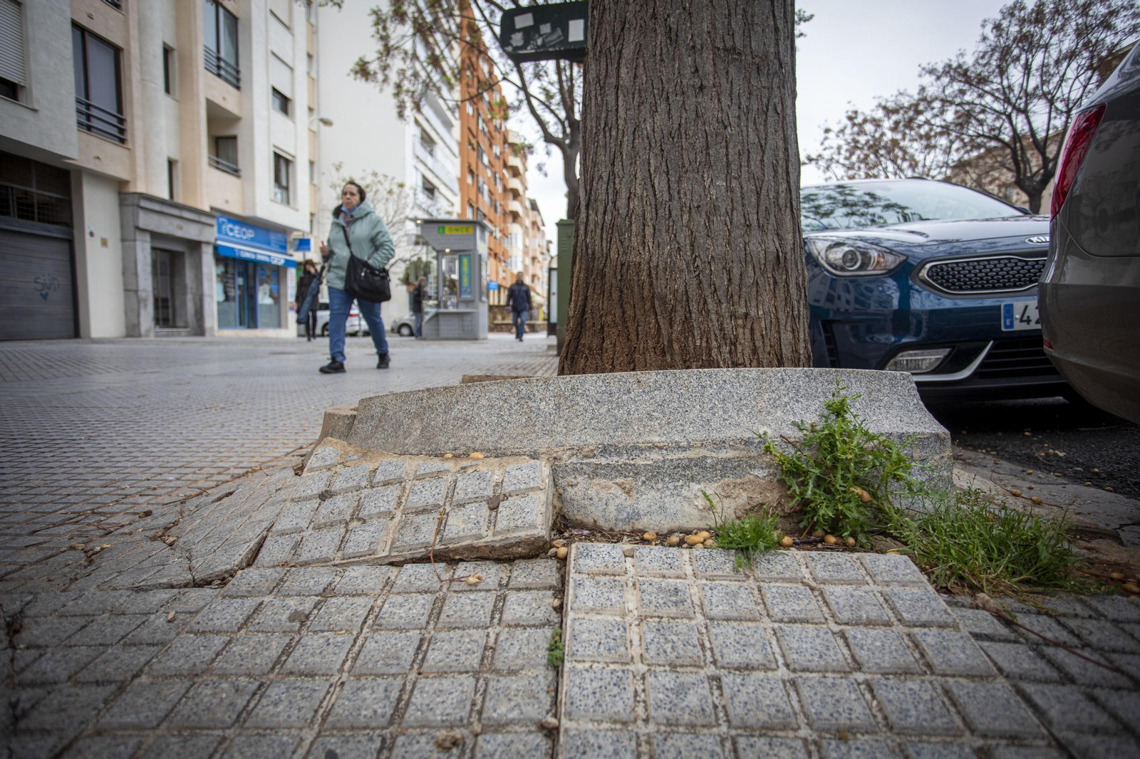 Cádiz, imágenes de una ciudad descuidada