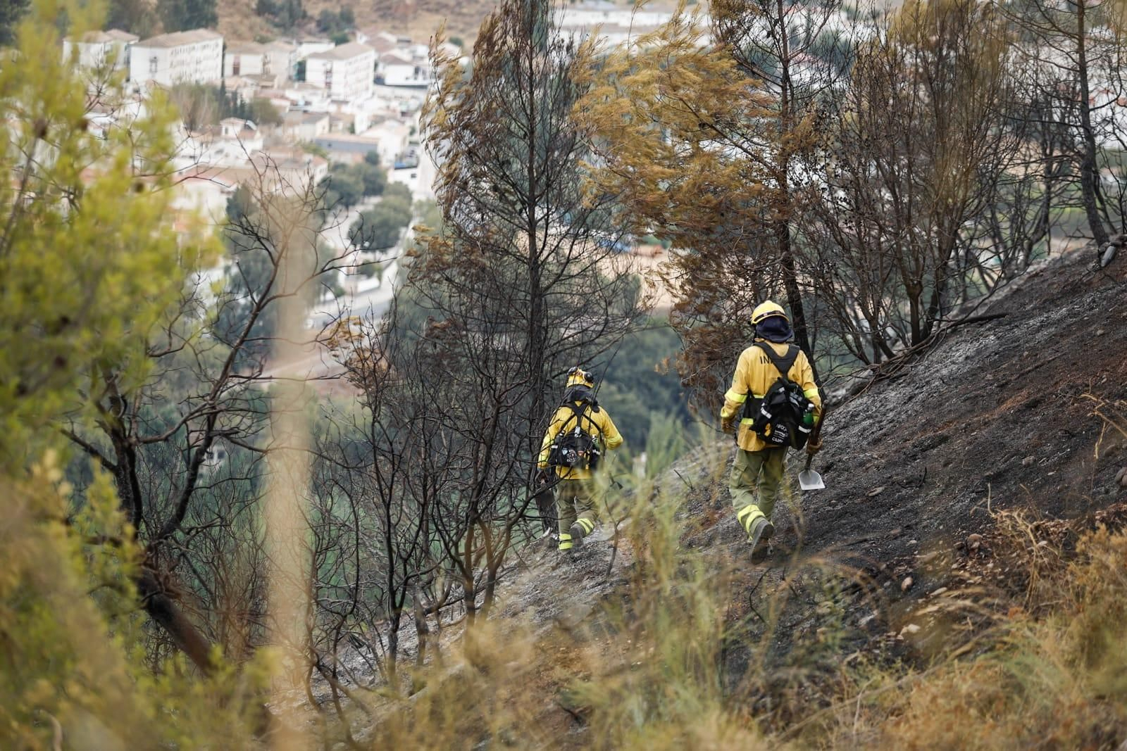 Las imágenes de la Fuente de la Bicha de Granada tras las llamas