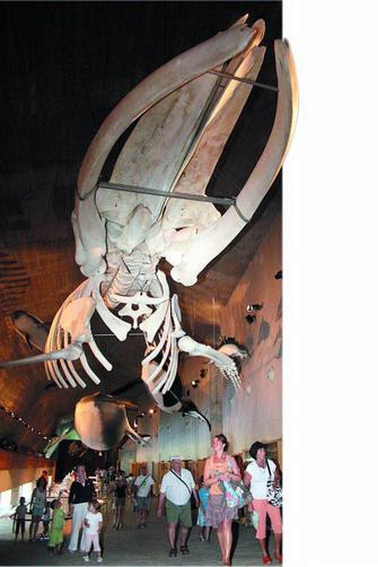 De visita en la casa de Moby Dick