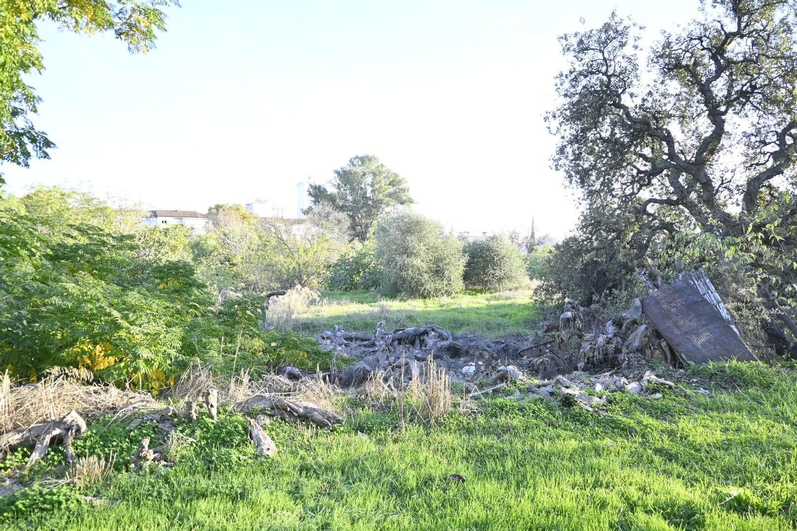 Parcela de la antigua Casa Duclós, donde iría ubicada la piscina municipal que propone el Ayuntamiento.