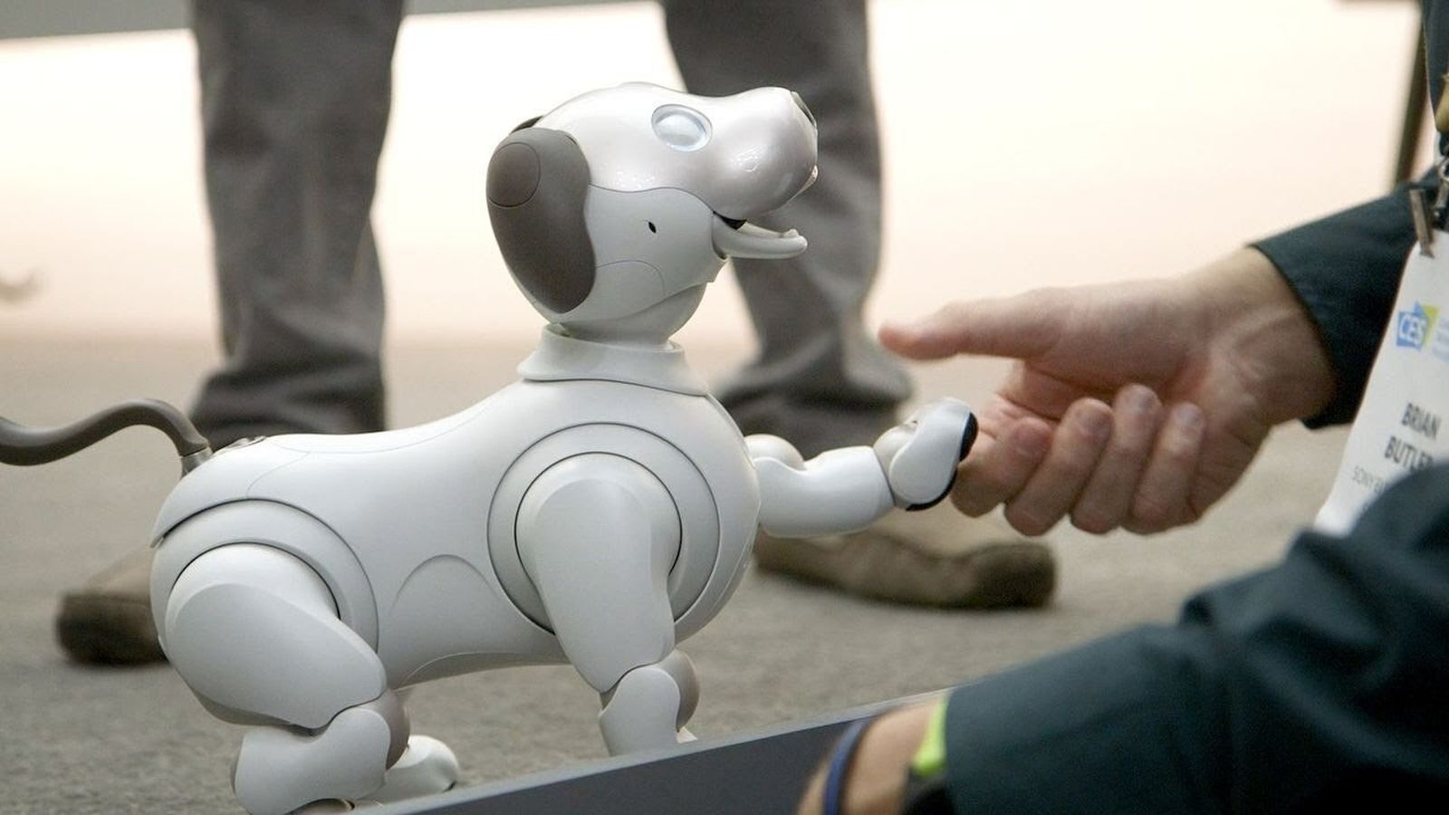 Aibo interactuando con personas.