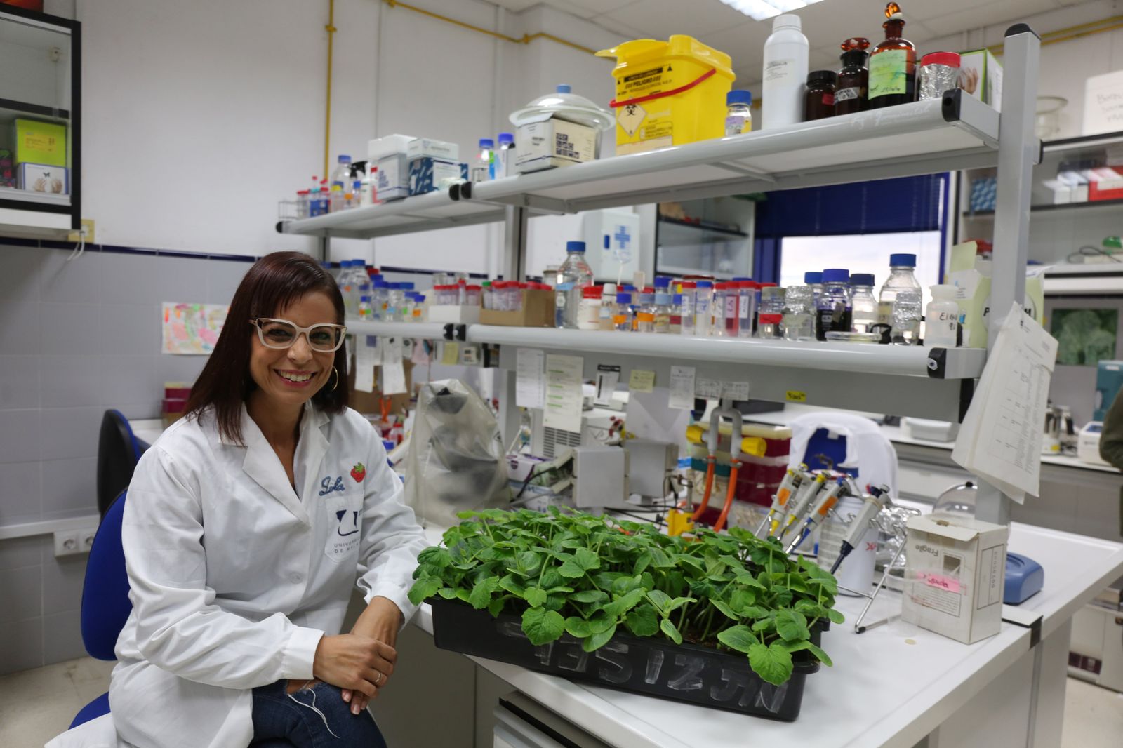 La investigadora Dolores Fernández en los laboratorios del departamento de Microbiología de la Facultad de Ciencias de la UMA.