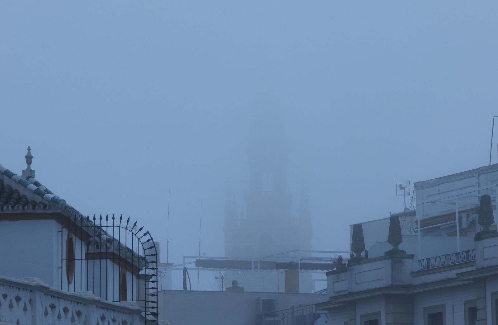 Las imágenes de la niebla en Sevilla