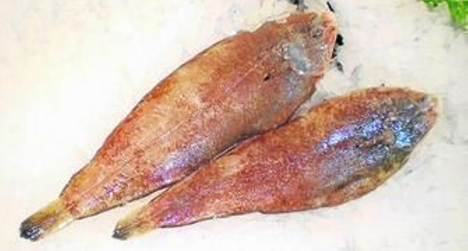 Las acedías en nuestra cocinaAcedías al ajilloAcedías al vino blanco del CondadoAcedías del Atlántico fritas