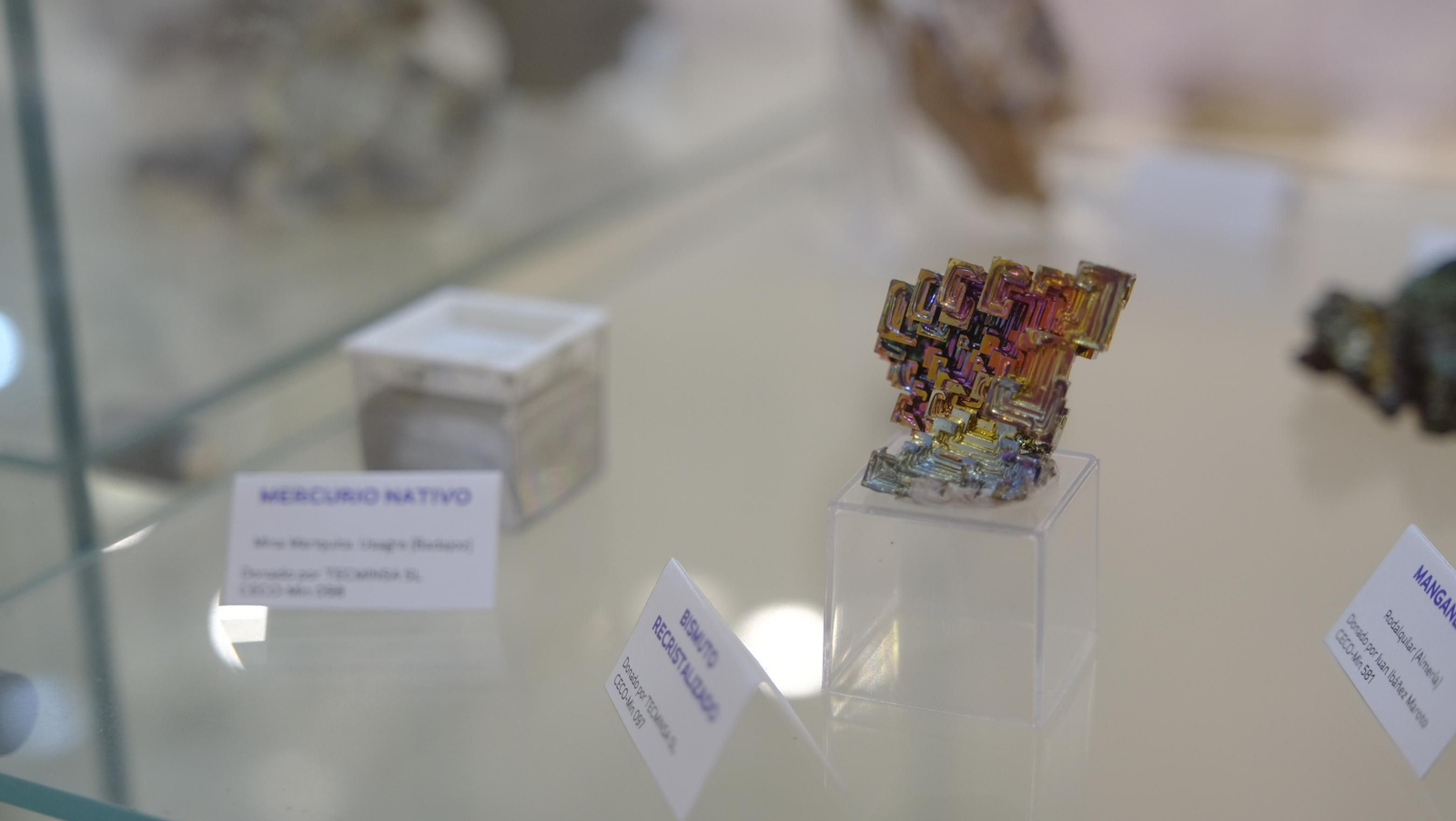 Descubre en estas fotos las maravillas que esconde el Pabellón de Historia Natural de la UAL