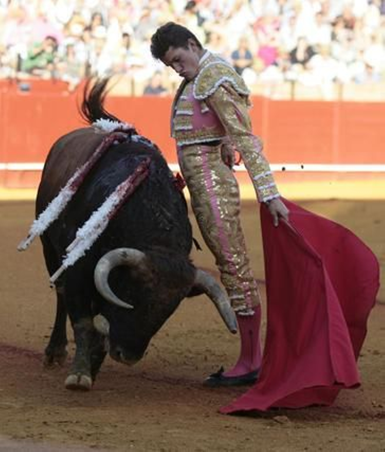 El sevillano Daniel Luque con el tercero de la tarde en la treceava del abono de La Maestranza.

Foto: Juan Carlos Muñoz