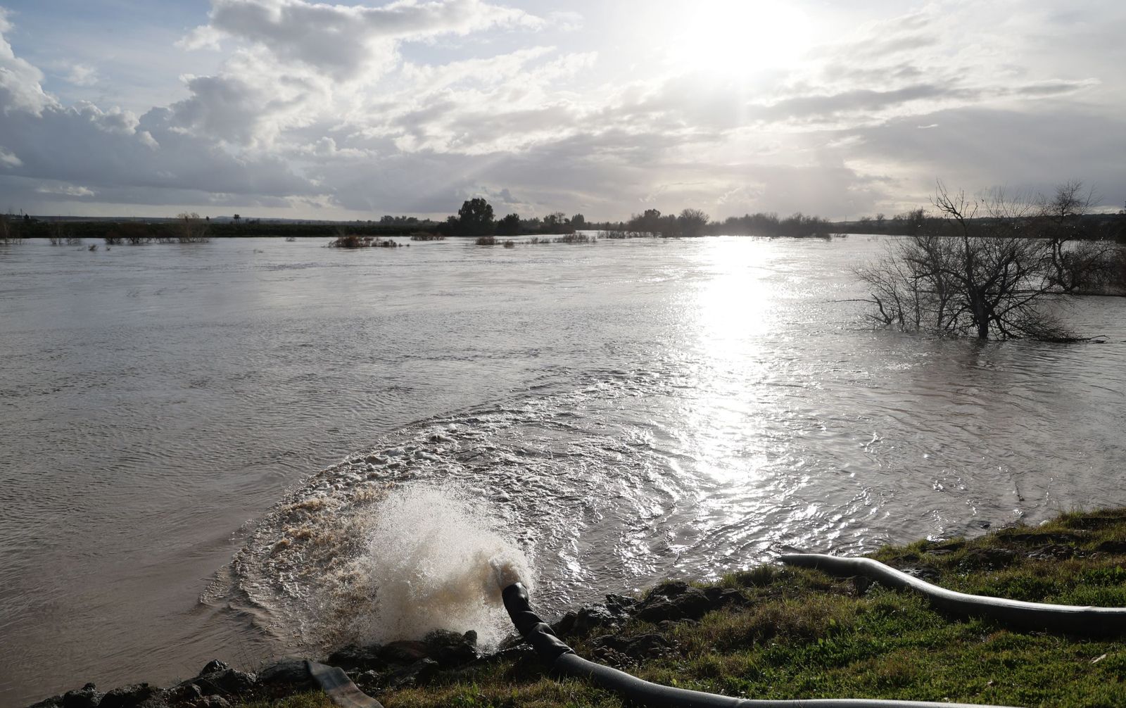 Las fotos de la crecida del río Guadalquivir en Lora del Río por la borrasca Leonardo