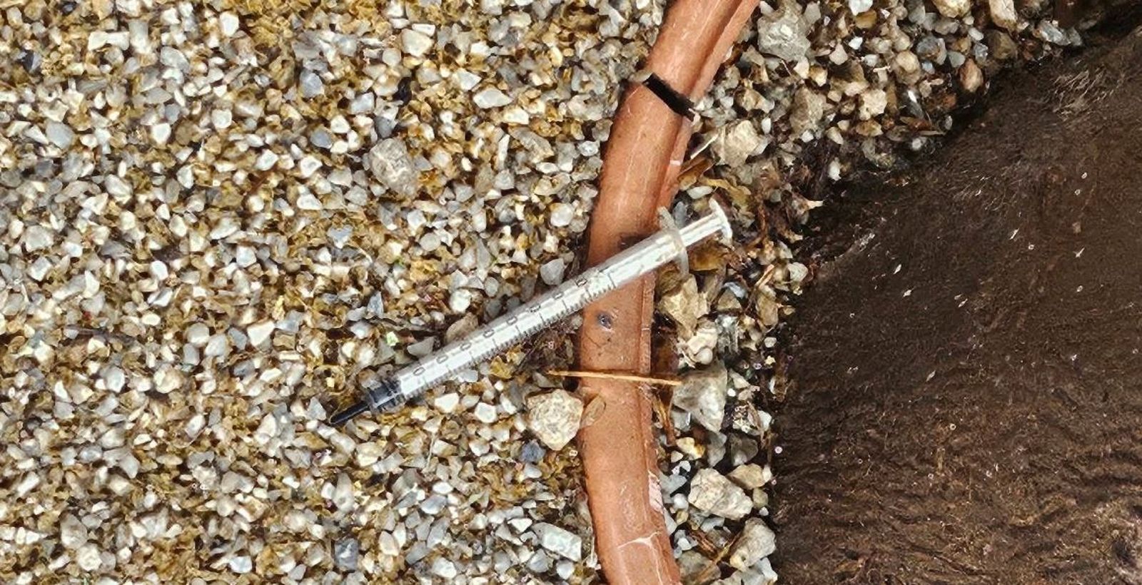 Una jeringuilla en una calle portuense.