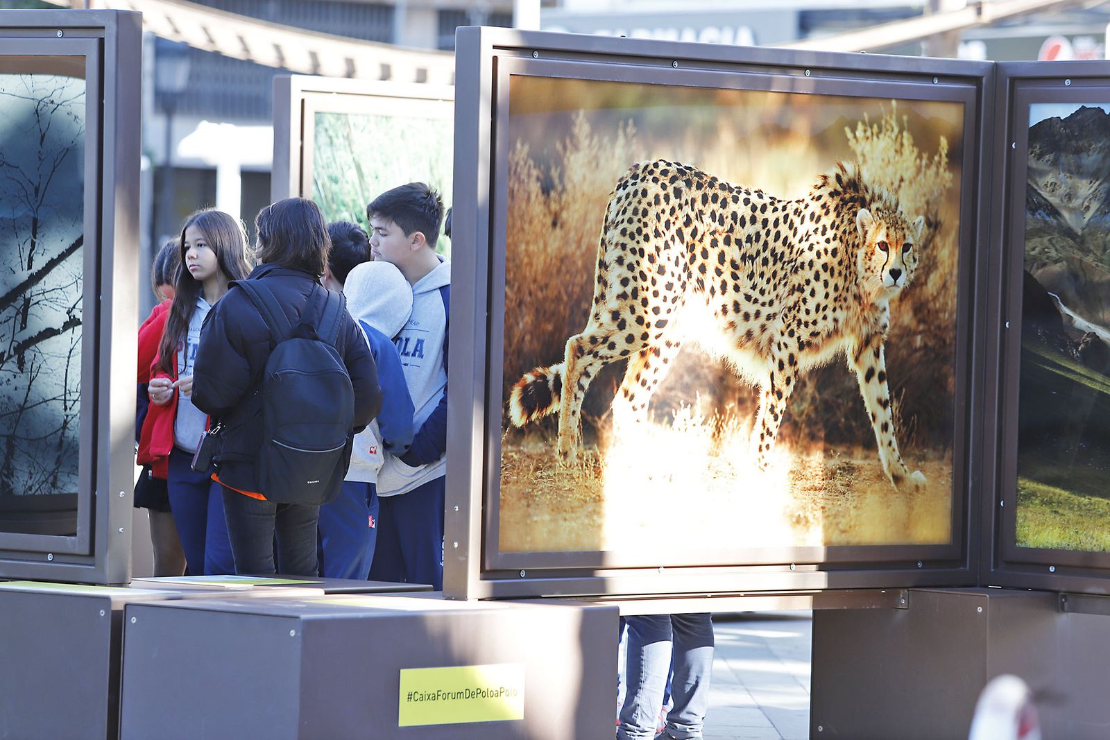 Las imágenes más destacadas del viernes 24 de noviembre en Huelva