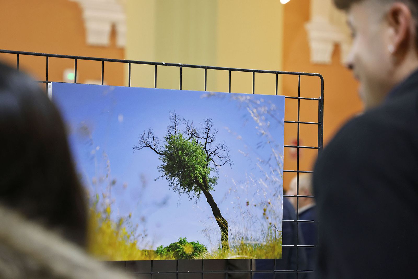 Exposición del I Rally Fotográfico de La Canastita