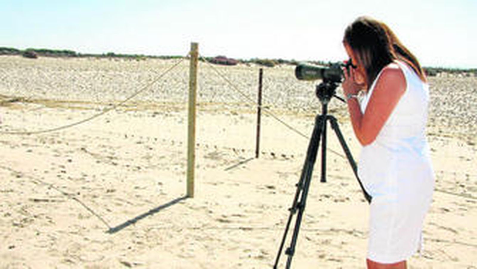 La delegada  provincial de Medio Ambiente, Silvia López, visitó las zonas de nidificación acotadas en la playa de la península de Los Toruños, en Valdelagrana.