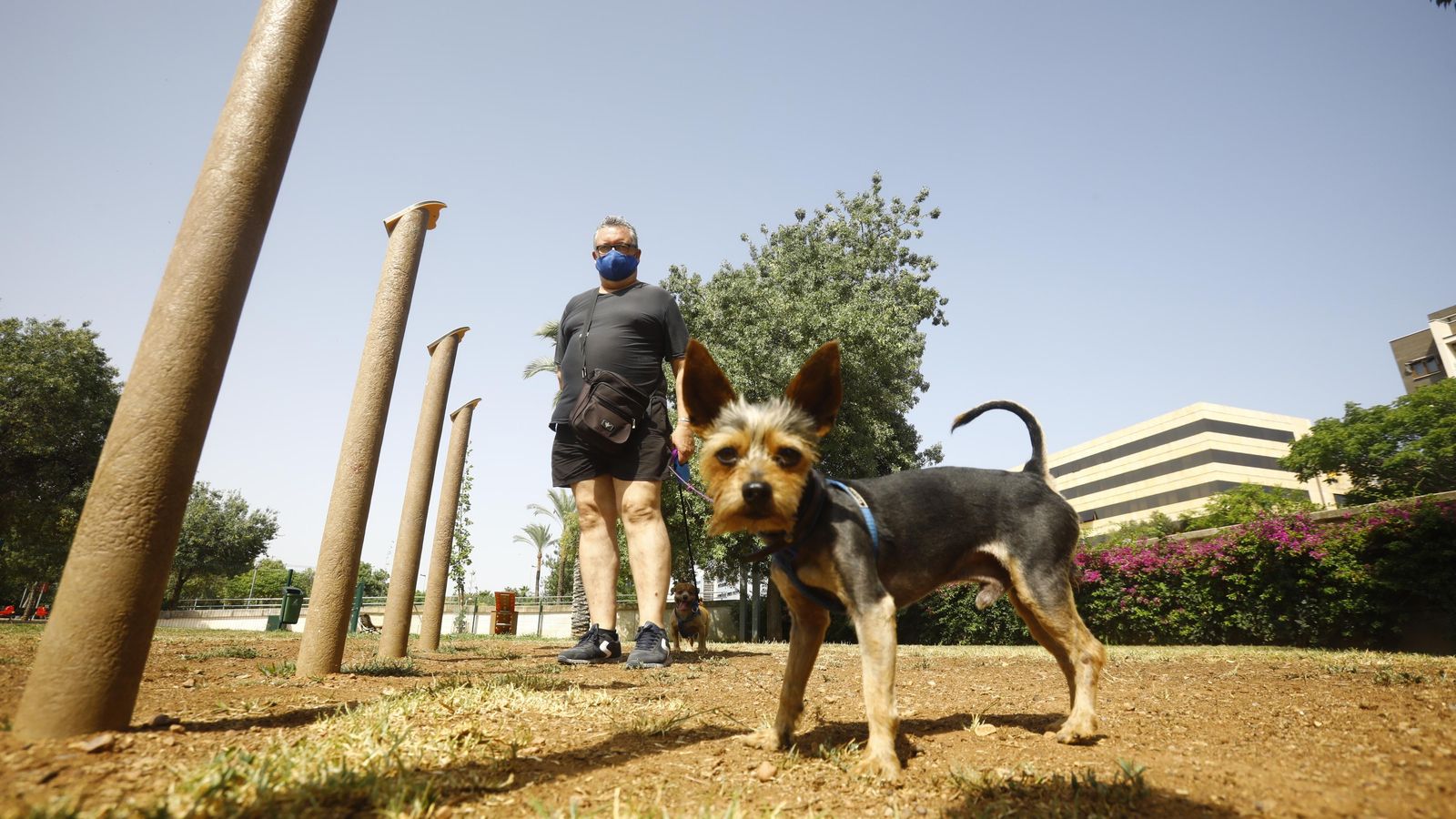 Hombre pasea a su perro en el parque canino de Vial Norte.