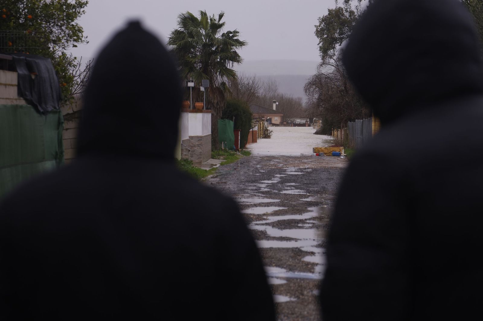 Los vecinos de Guadalvalle desalojan sus parcelas por la crecida del Guadalquivir, en imágenes