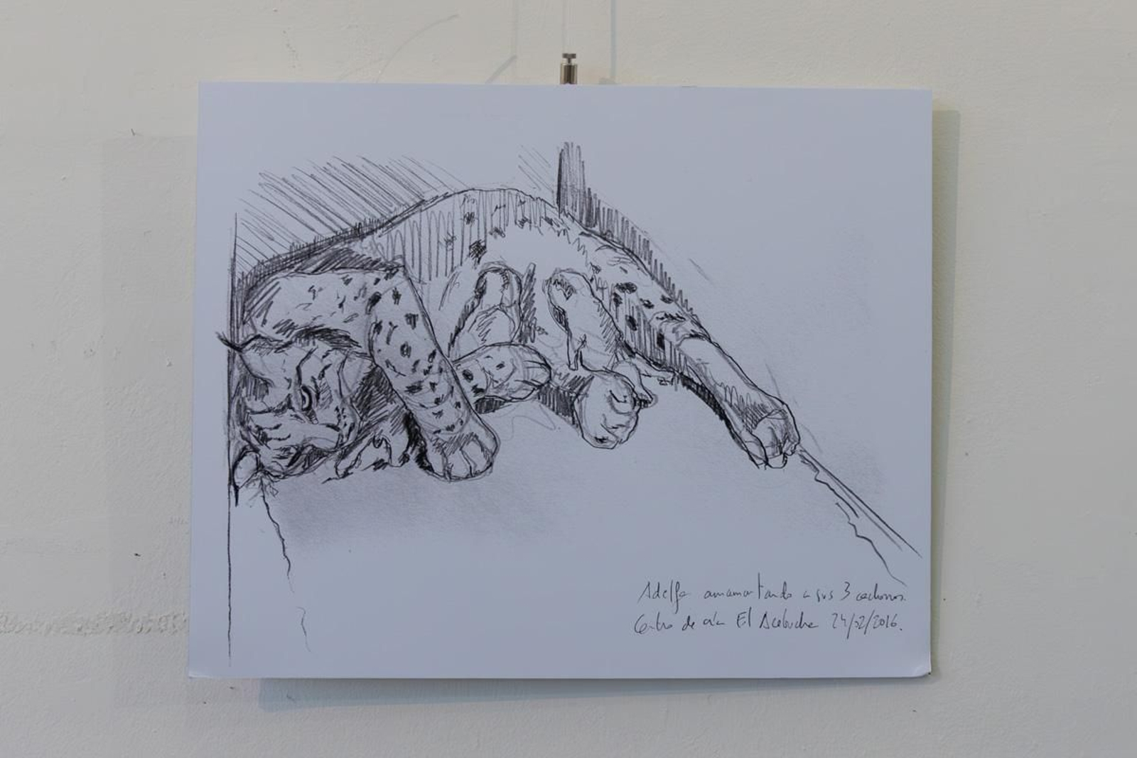 Exposición Los pinceles del lince ibérico, en imágenes