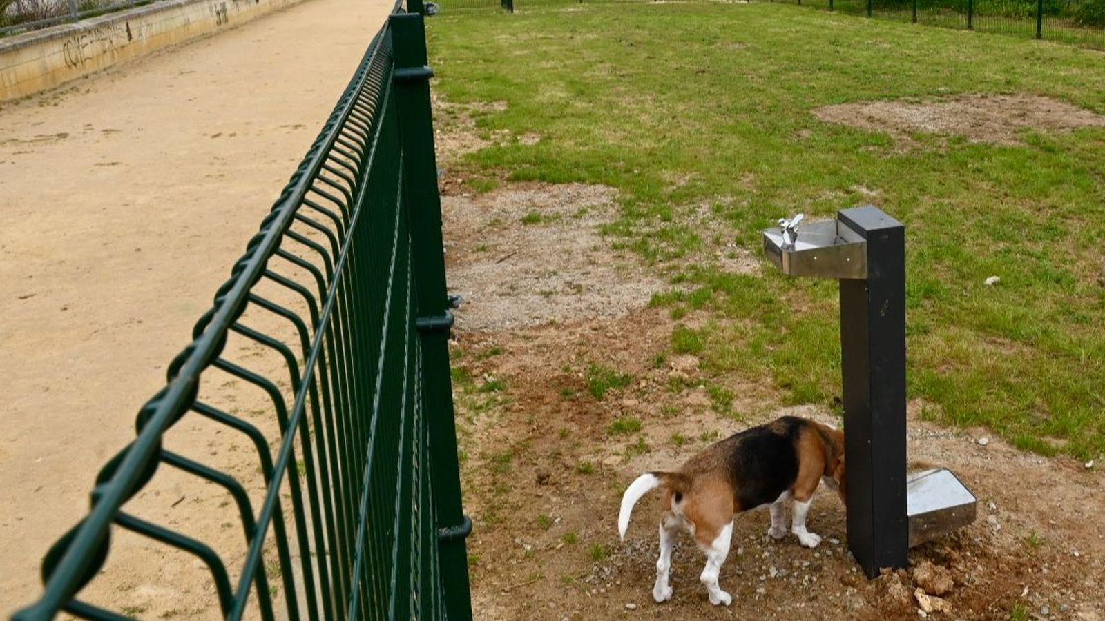 Un perro disfruta del nuevo parque canino de La Marquesa.