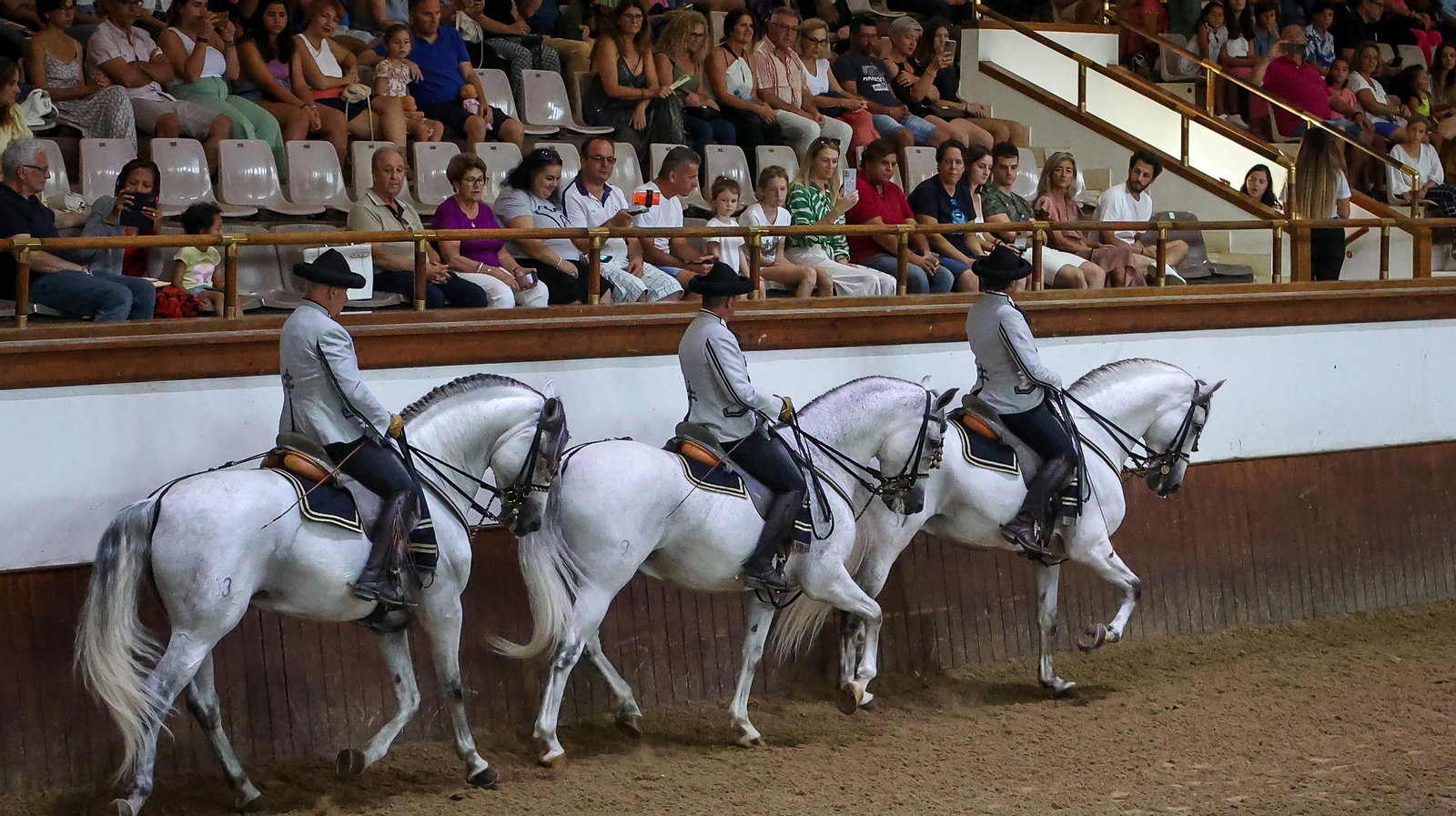 'Día Mundial del Caballo' en la Real Escuela de Jerez