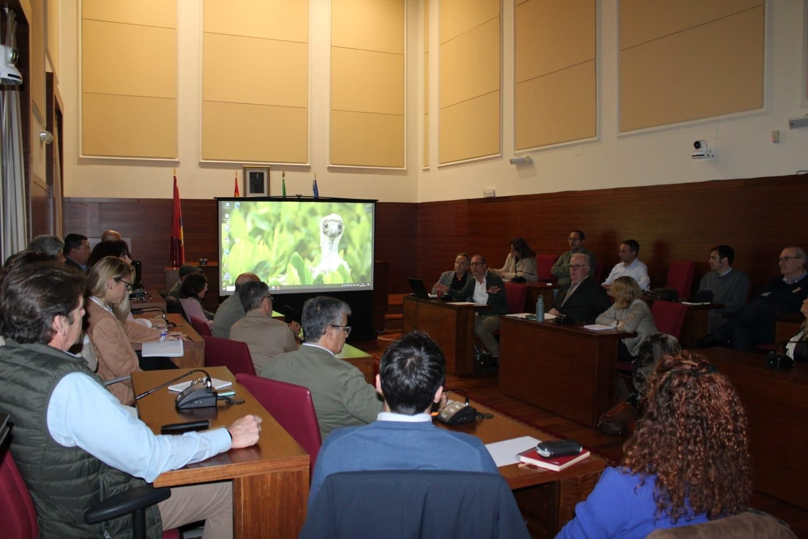 Un momento de esta reunión, celebrada en el Salón de Plenos.
