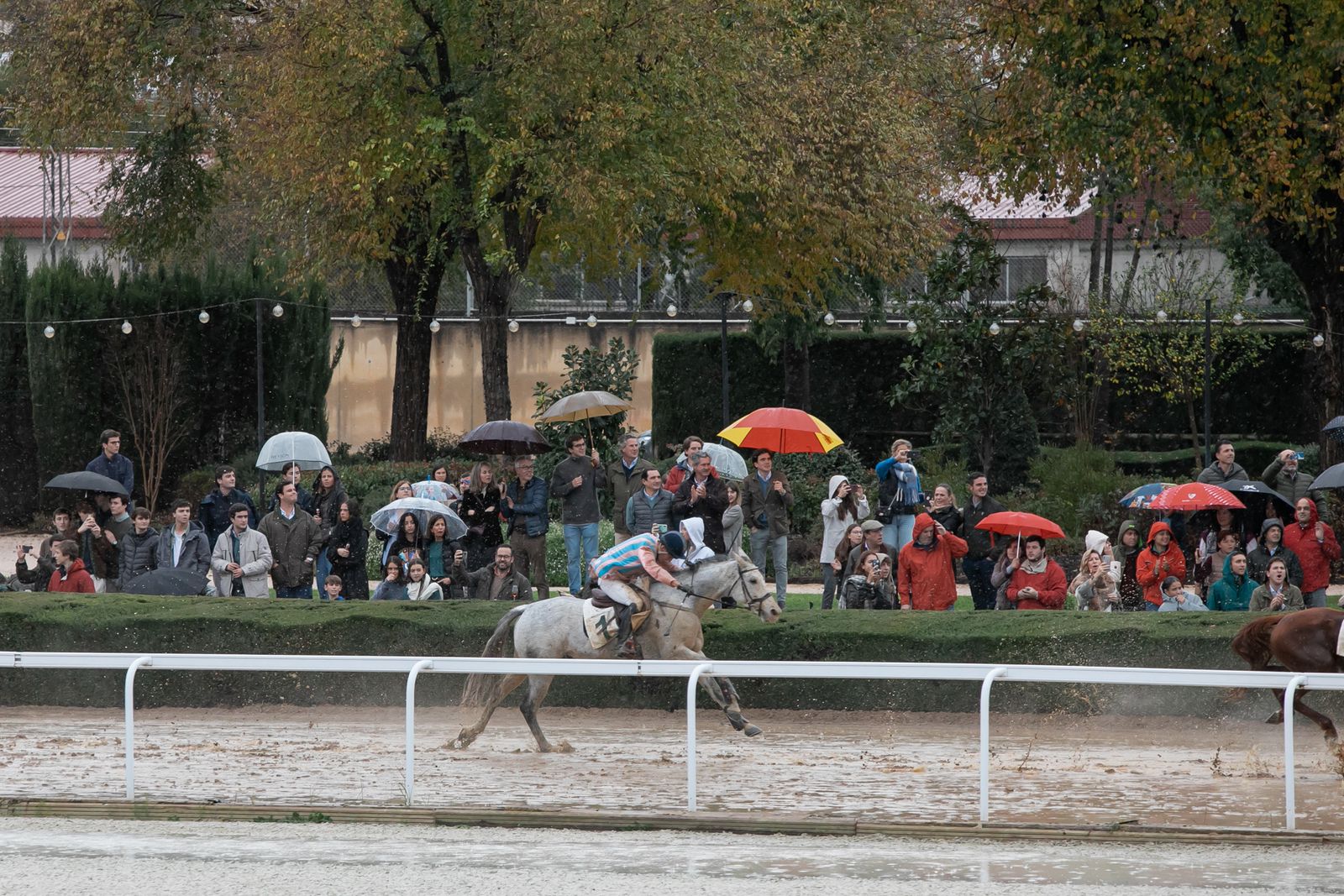 Búscate en las carreras de caballos de Pineda