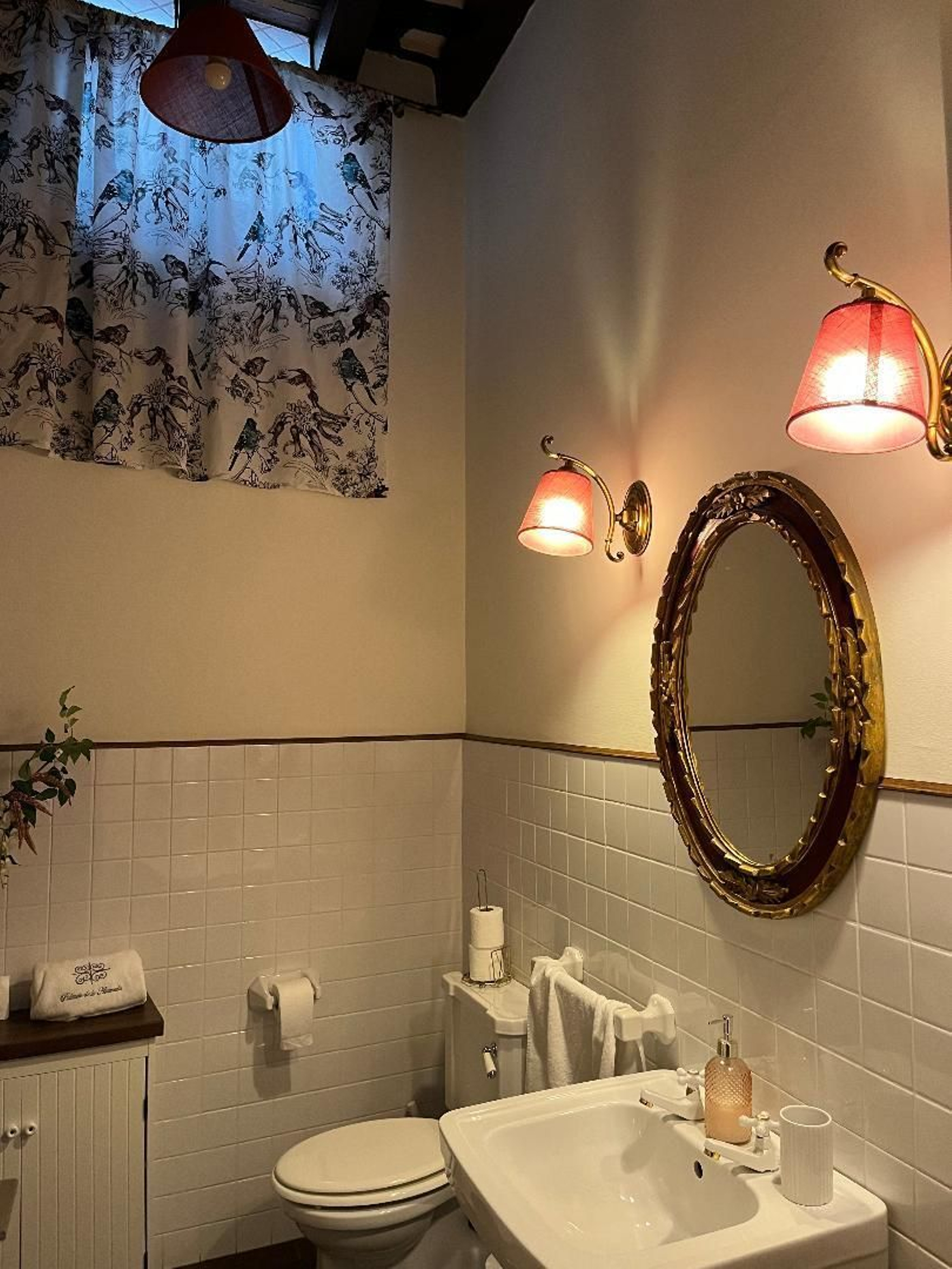 Las imágenes del Palacete de la calle Vea Murguía en Cádiz