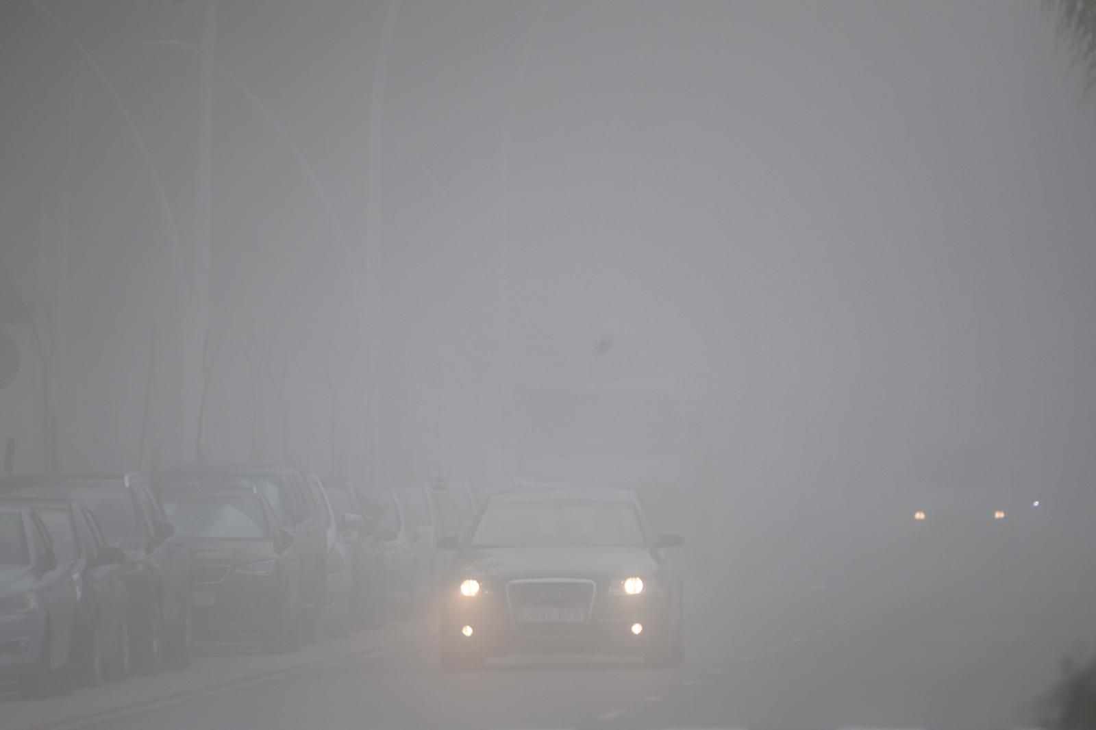 WhatsApp Image 2026-01-14 at 10.33.27 (1)