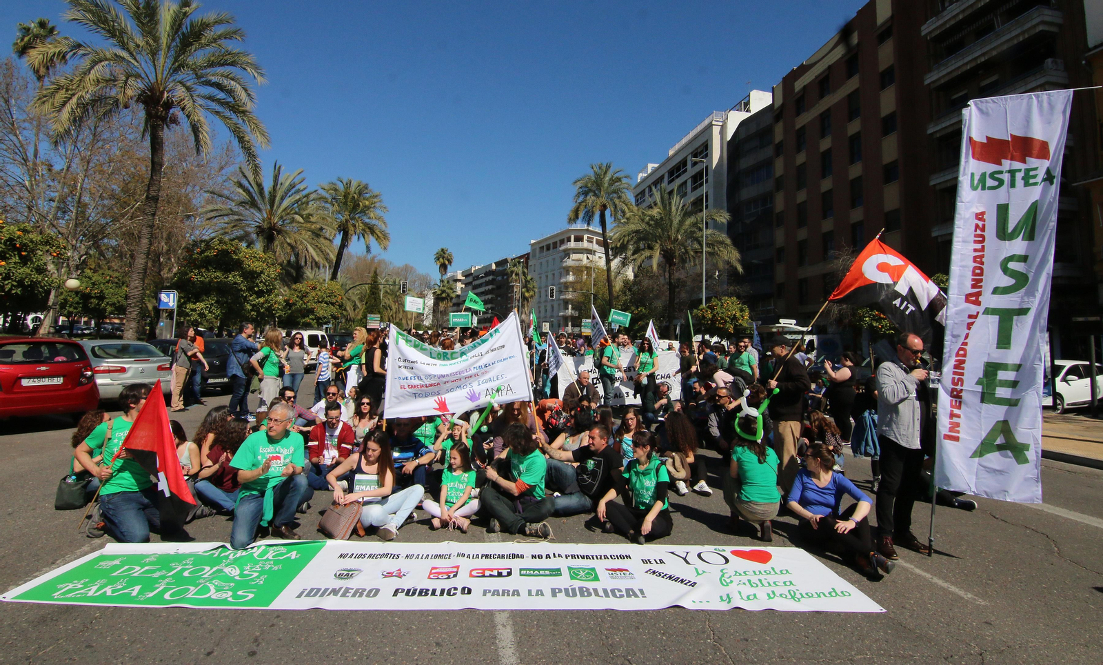 La manifestación contra la Lomce, en imágenes