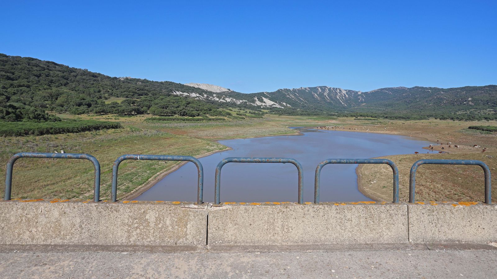 Embalse de Charco Redondo en Los Barrios