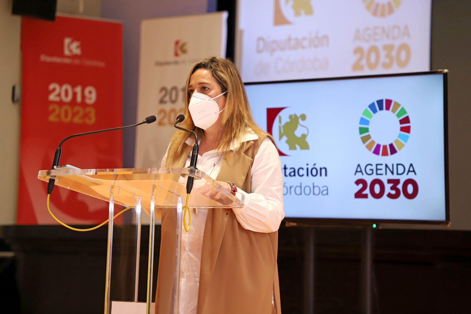 Salud Navajas durante la programación de la línea de ayudas.